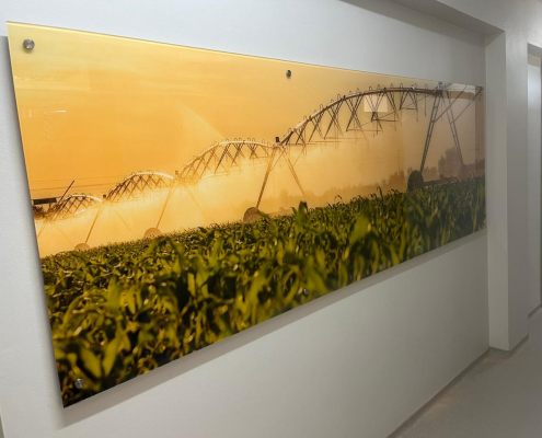 Perspex Wall sign art at CUT Bloemfontein Perspex Wall sign art at CUT Bloemfontein designed, printed, manufactured and installed by Wrapit Signs