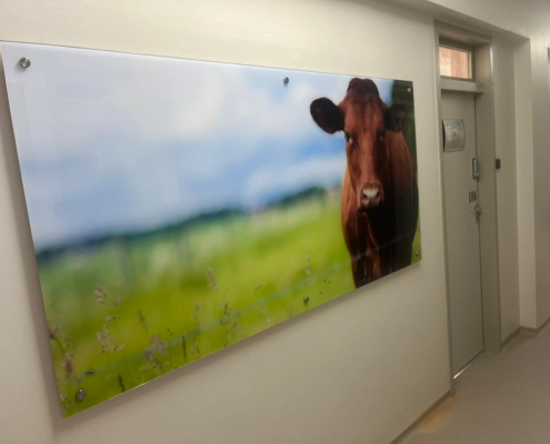 Perspex Wall sign art at CUT Bloemfontein Perspex Wall sign art at CUT Bloemfontein designed, printed, manufactured and installed by Wrapit Signs