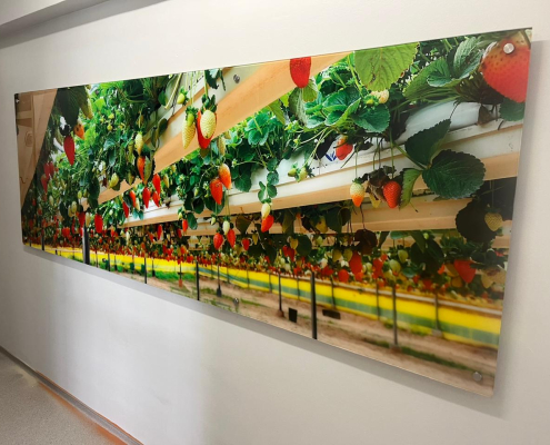 Perspex Wall sign art at CUT Bloemfontein Perspex Wall sign art at CUT Bloemfontein designed, printed, manufactured and installed by Wrapit Signs
